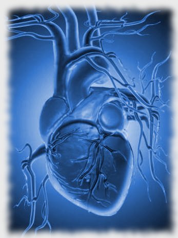 Heart in Blue